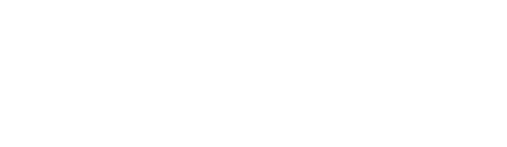 ウェブルスデジタルマーケティング